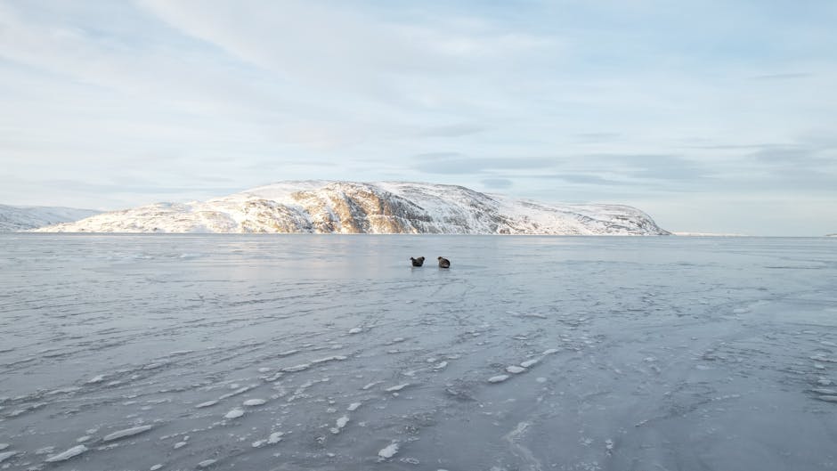 Arctic Ice Hotels With Beautiful Frozen Panorama