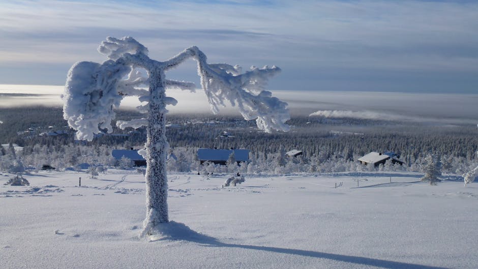 Arctic Resorts With Sophisticated Snow Architecture