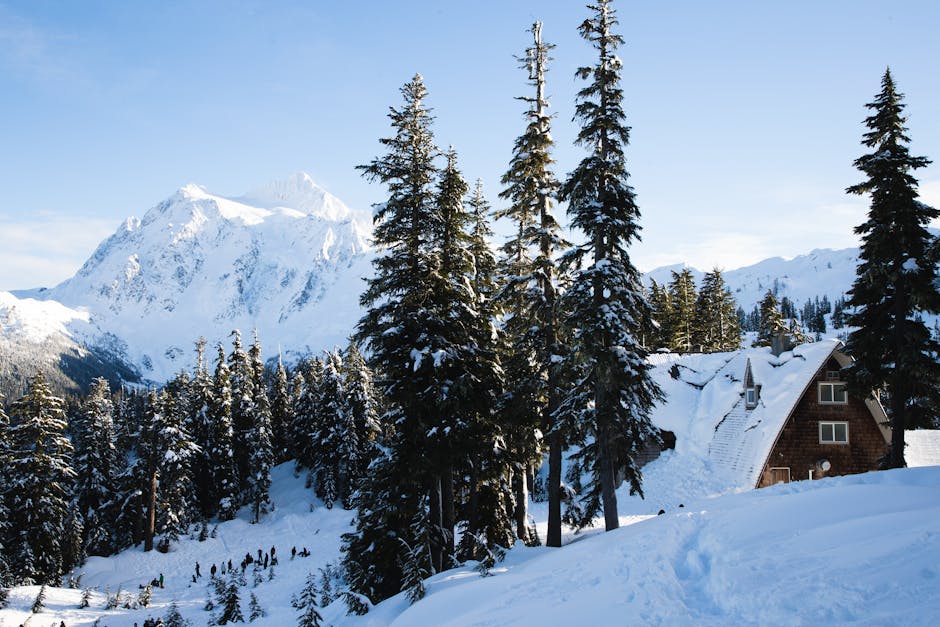Ice Palace Resorts Perfect for Dream Winter Vacations