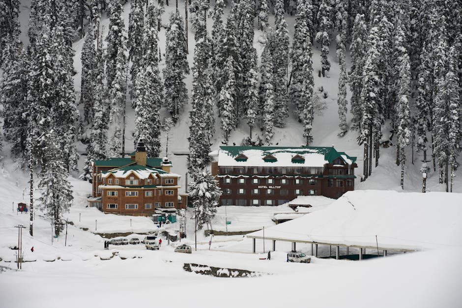 Igloo Hotels Surrounded by Frozen Forest Landscapes