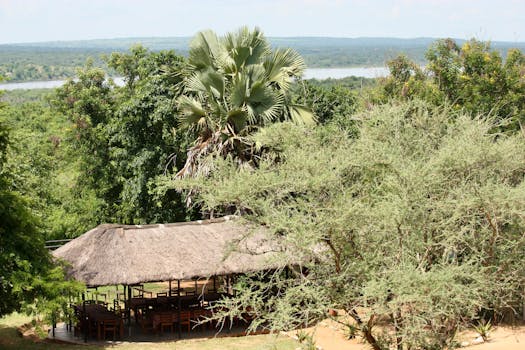 Jungle Lodges With Scenic Waterfall Terraces