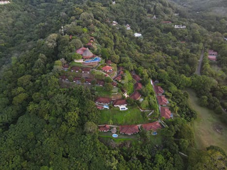 Jungle Resorts With Beautiful Forest Horizons