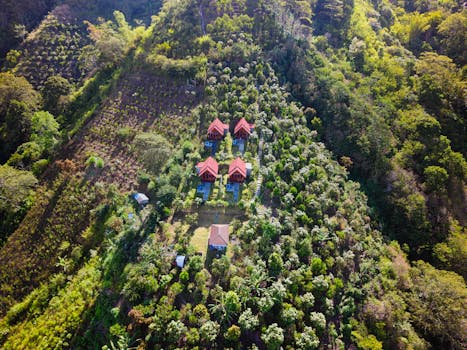 Jungle Resorts With Beautiful Forest Panorama