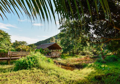 Jungle Resorts With Beautiful Tropical Landscapes