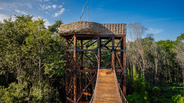Jungle Retreat Resorts With Elevated Nature Decks
