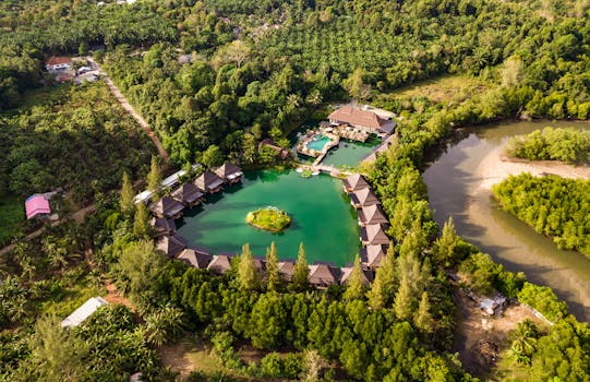 Jungle Retreat Resorts With Scenic Nature Views
