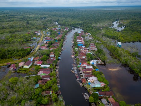 Jungle Villas With Elevated River Views
