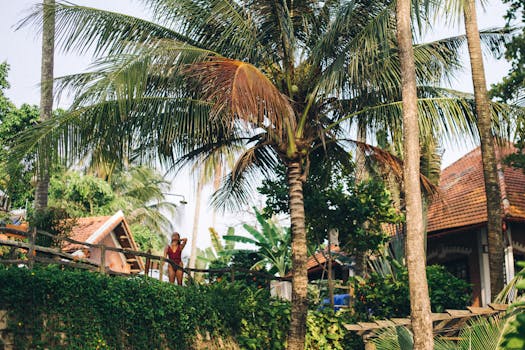 Jungle Villas With Scenic Balcony Suites