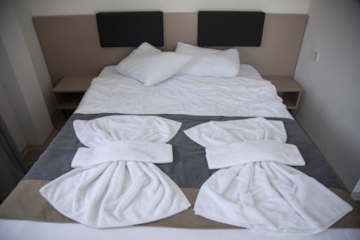 Lakefront Hotels Offering Premium Guest Comfort