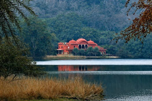Luxury Jungle Lodges Offering Private Wildlife Experiences