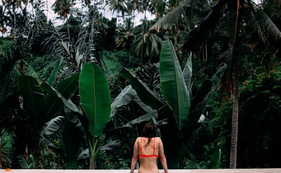 Luxury Rainforest Resorts Perfect for Nature Lovers