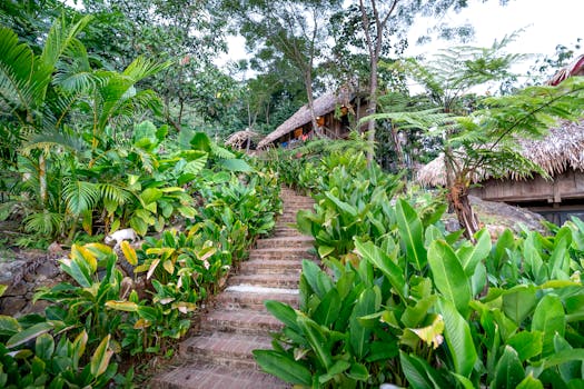 Rainforest Resorts With Iconic Jungle Architecture