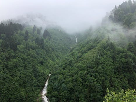 Rainforest Resorts With Scenic River Valleys
