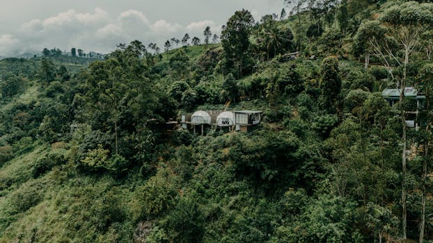 Rainforest Retreat Hotels With Scenic Nature Views