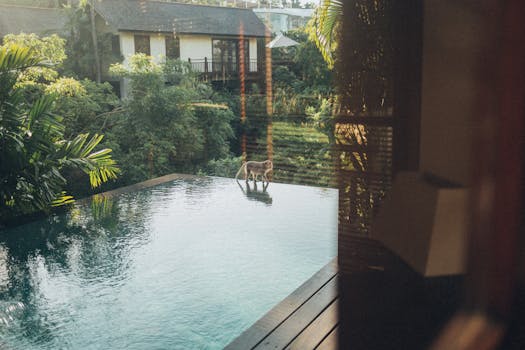 Tropical Jungle Villas With Private Lagoon Pools